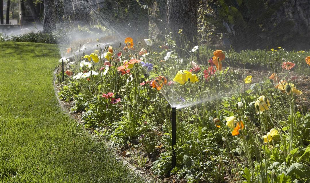 Sprinkler blow out service