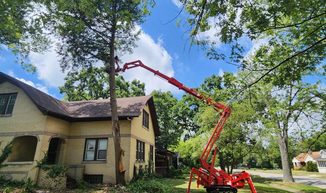 spider lift trees back yard access